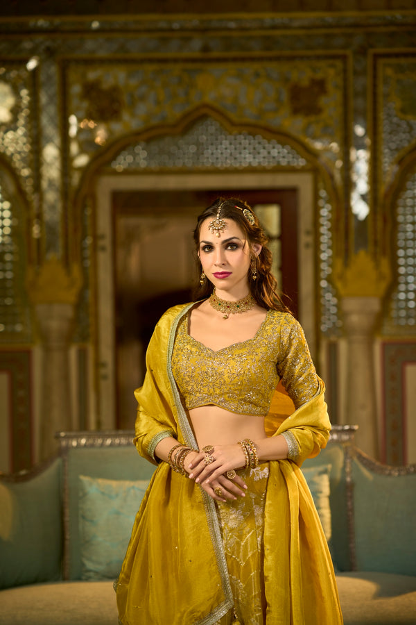 Almarina Readymade Silk Blend Lehenga Choli