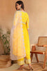 Yellow Silk Blend Solid Embroidered Flared Suit Set PKSKD2117