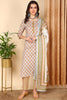 Grey Pure Cotton Ethnic Motifs Printed Straight Suit Set VKSKD2006